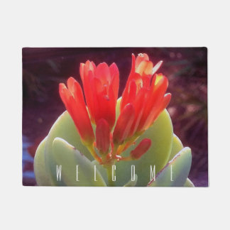 Paillasson Agave florissante