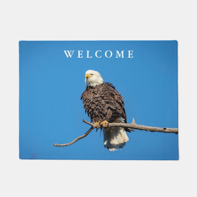 Paillasson Aigle à tête blanche sur une branche d'arbre (Devant)