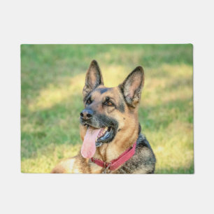 Paillasson Allemand Shepard
