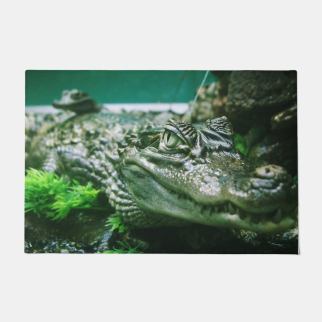 Paillasson Alligator (Devant)