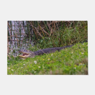 Paillasson Alligator Se détendre dans les zones humides de Vi