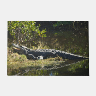 Paillasson Alligator se faisant chauffer au soleil sur la riv