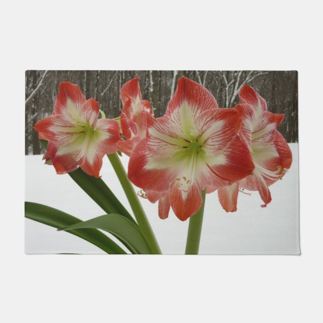 Paillasson Amaryllis en Fête Rouge Neige Hiver Floral (Devant)