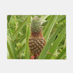 Paillasson Ananas sauvage Fruit tropical dans la nature