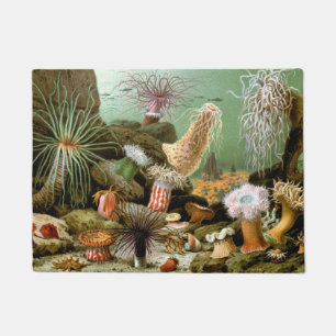 Paillasson Anémones de mer Vie marine, Animaux marins vintage