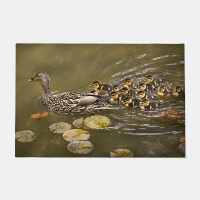 Paillasson Animal - Canards - Nager comme un canard (Devant)