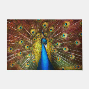Paillasson Animal - oiseau - paon fier