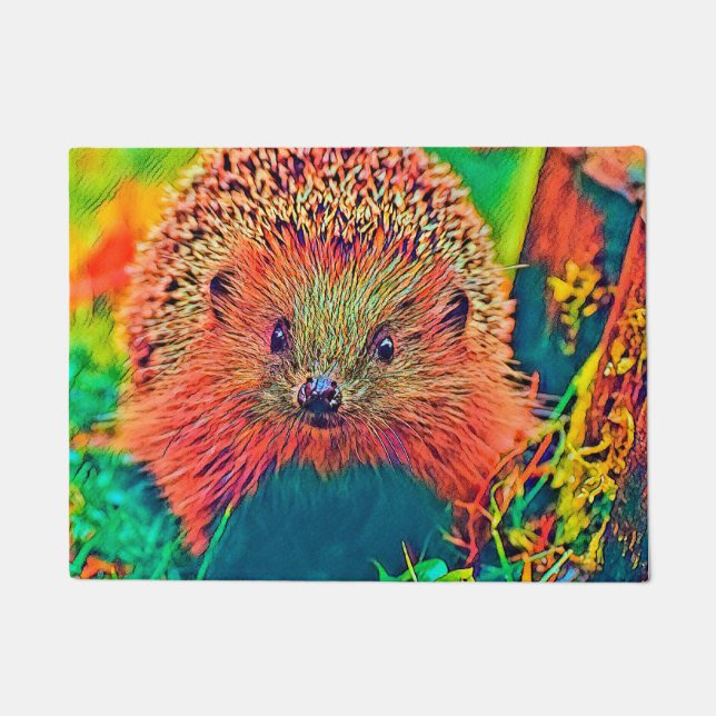 Paillasson AnimalColor_Hedgehog_002 (Devant)