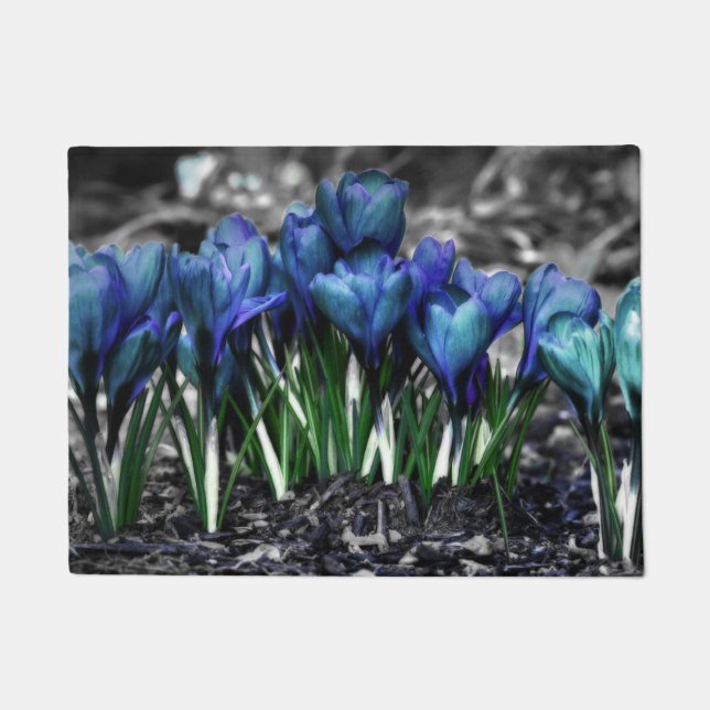 Paillasson Aqua Blue Crocus Blooms (Devant)
