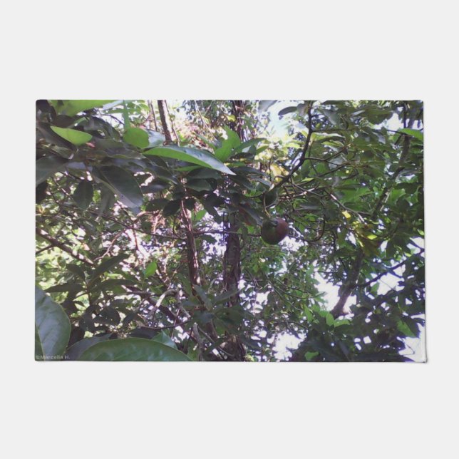 Paillasson Arbre d'avocat (Devant)