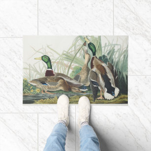 Paillasson Art animalier vintage d'Audubon représentant un ca