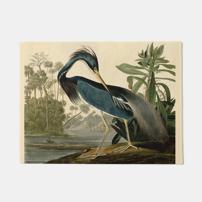 Paillasson Audubon Louisiana Heron Birds America Art (Devant)