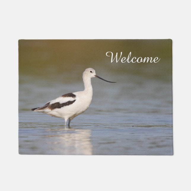 Paillasson Avocet américain blanc (Devant)