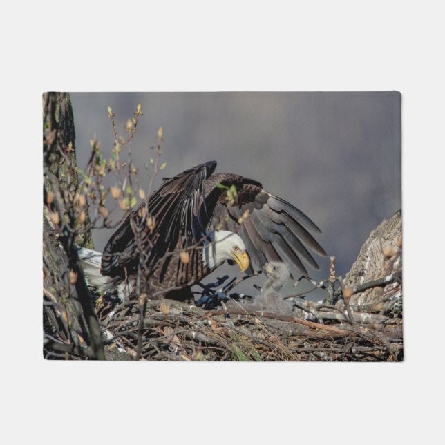 Paillasson Bald Eagle avec son bébé (Devant)
