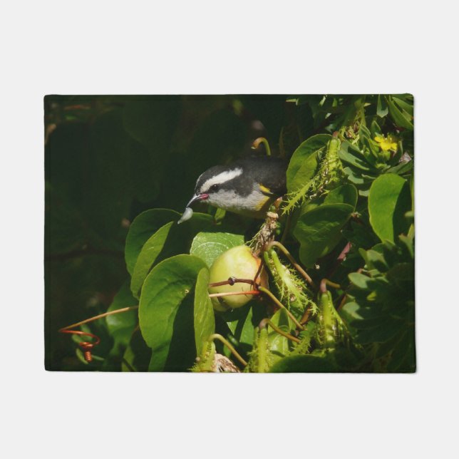 Paillasson Bananaquit Bird Mange Photographie tropicale (Devant)