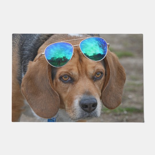 Paillasson Beagle Frais Drôle Avec Des Lunettes De Soleil Sur