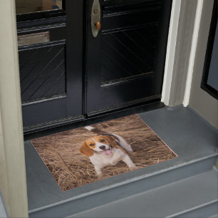 Paillasson Beagle heureux