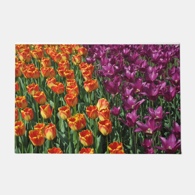 Paillasson Beauté des tulipes orange et violet     (Devant)