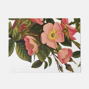 Paillasson Belle Botanique rose Rose vintage