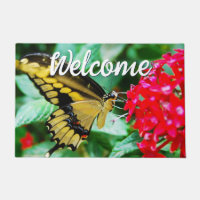 Belle photo Papillon noir jaune Bienvenue