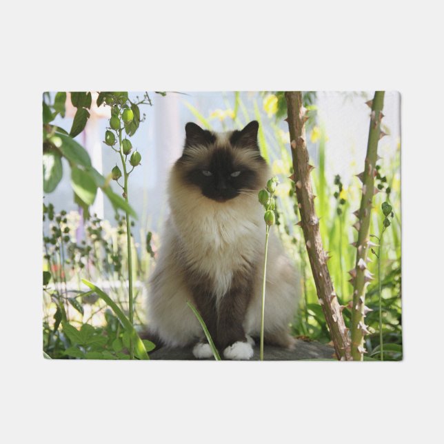 Paillasson Belle Ragdoll (Devant)