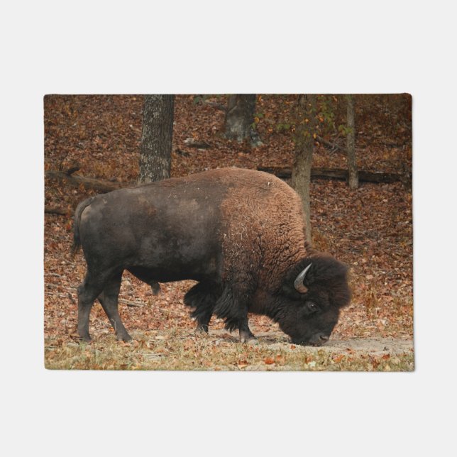 Paillasson Bête de Bison américain (Devant)