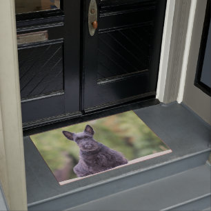 Paillasson Black Scottish Terrier