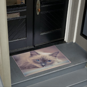 Paillasson Bleu Eyed Ragdoll Chat