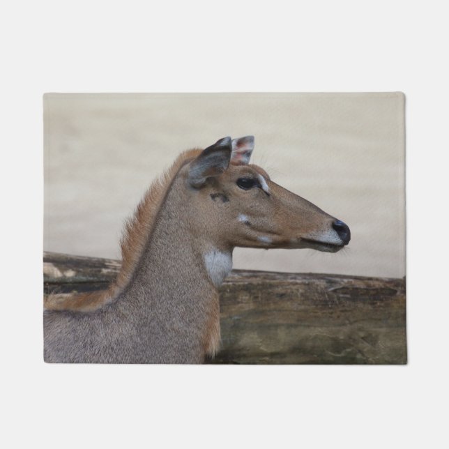 Paillasson Boselaphus tragocamelus (Devant)