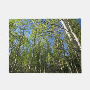 Paillasson Bouleaux d'été aux montagnes Rocheuses