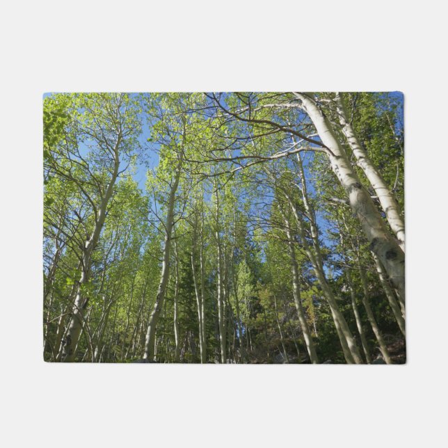Paillasson Bouleaux d'été aux montagnes Rocheuses (Devant)