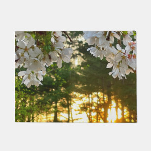 Paillasson bourgeons blancs fleuris lever du soleil sur les p