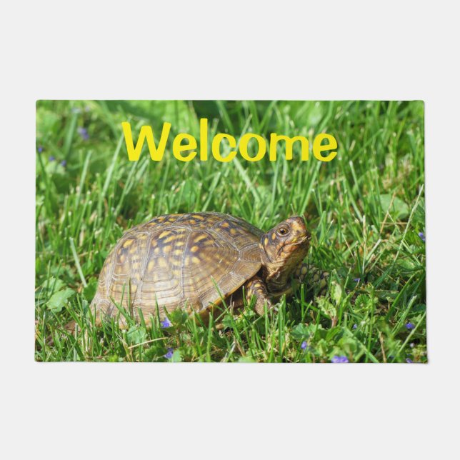 Paillasson Box Turtle Doormat (Devant)