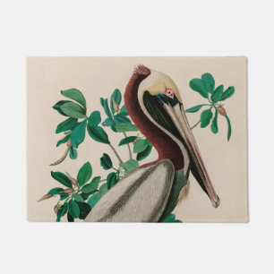 Paillasson Brown Pelican Birds of America Audubon