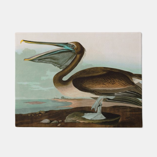 Paillasson Brown Pelican Birds of America Audubon (Devant)