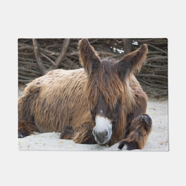 Paillasson Brown Poitou Donkey (Devant)