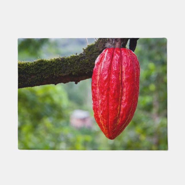 Paillasson cabosse rouge (Devant)