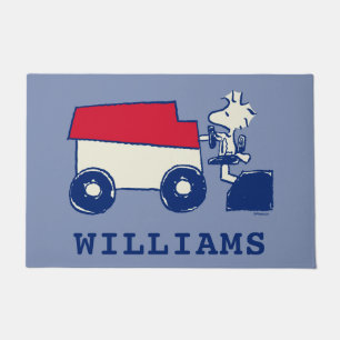 Paillasson cacahuètes   Machine de resurfaçage de glace Woods