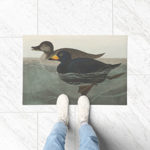 Paillasson Canard noir d'Amérique de Audubon vintage