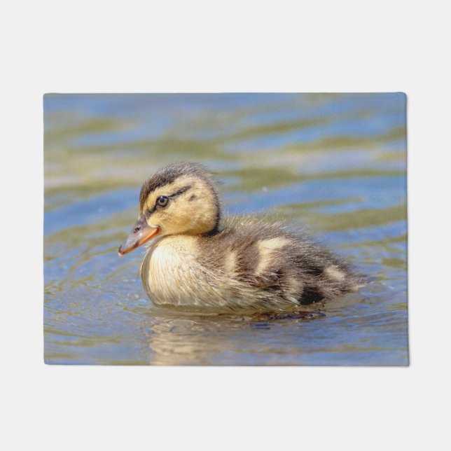 Paillasson Caneton de Mallard (Devant)