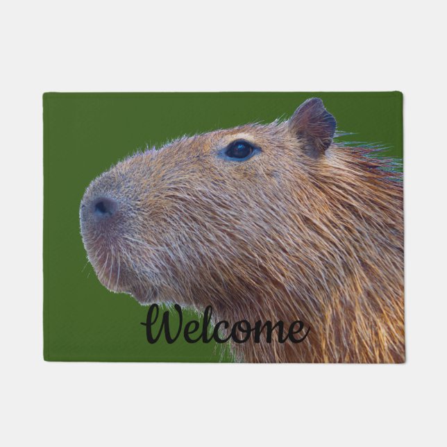 Paillasson Capybara (Devant)