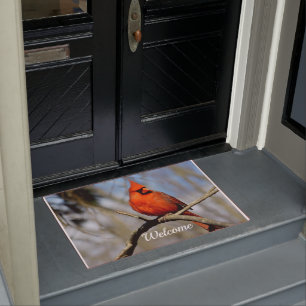 Paillasson cardinal gai