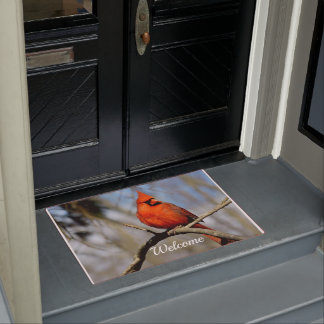 Paillasson cardinal gai