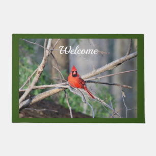 Paillasson Cardinal Spring Woods