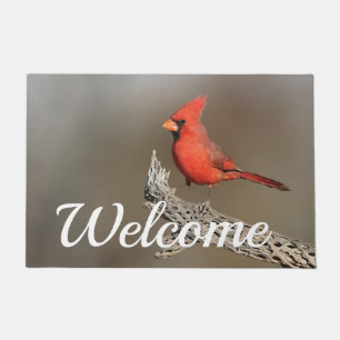 Paillasson Cardinal sur un cholla