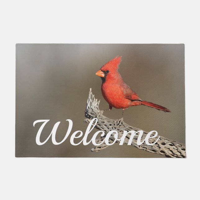 Paillasson Cardinal sur un cholla (Devant)