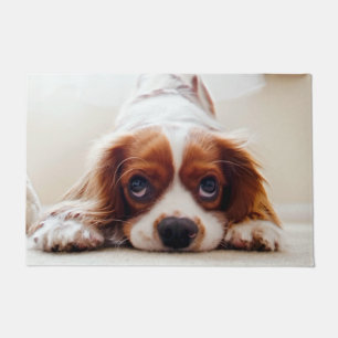 Paillasson Cavalier Charles Spaniel