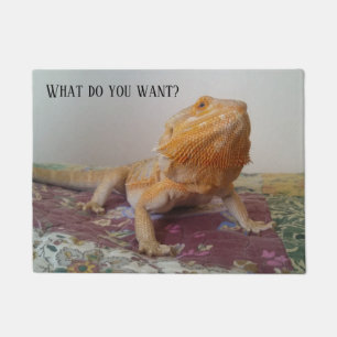 Paillasson CE QUI VOUS VEULENT le dragon barbu drôle
