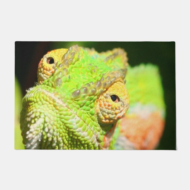 Paillasson Chameleon Doormat (Devant)