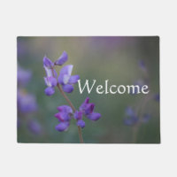 Champ de Lupine